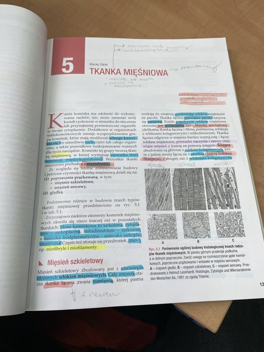 Histologia Maciej Zabel