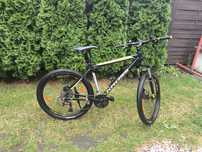 Rower Kross hexagon x6