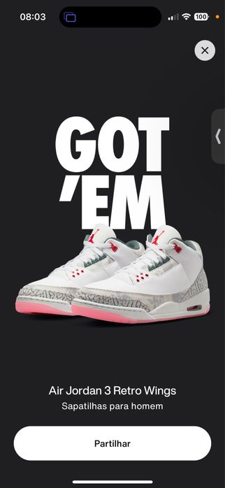 Jordan 3 retro wings