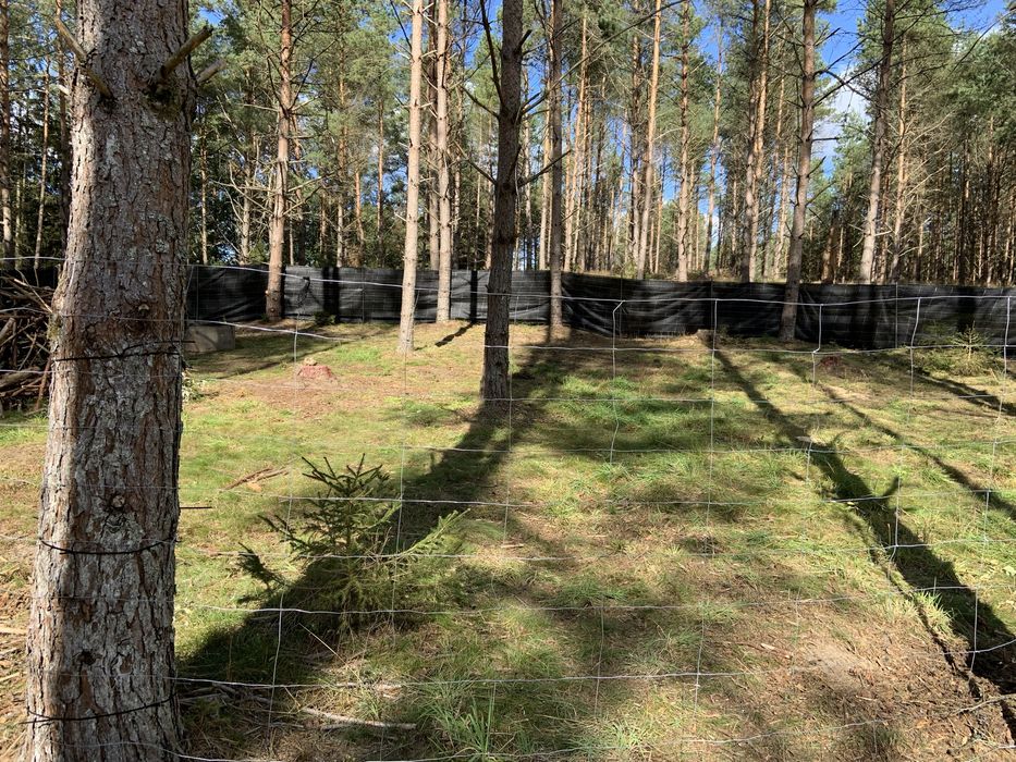 Zakole rzeki Wdy. Wynajmę działkę z linią brzegową rzeki WDY