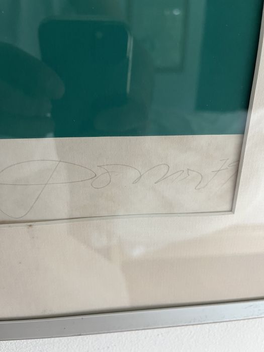 Tigre de julio pomar serigrafia