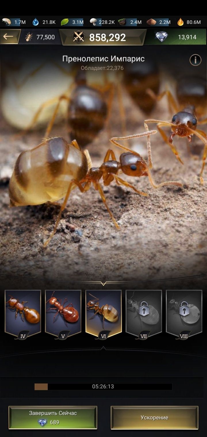 The ants 17lvl..
