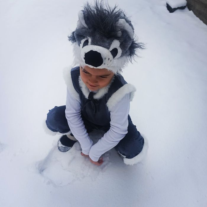 Прокат (оренда)  новорічних костюмів