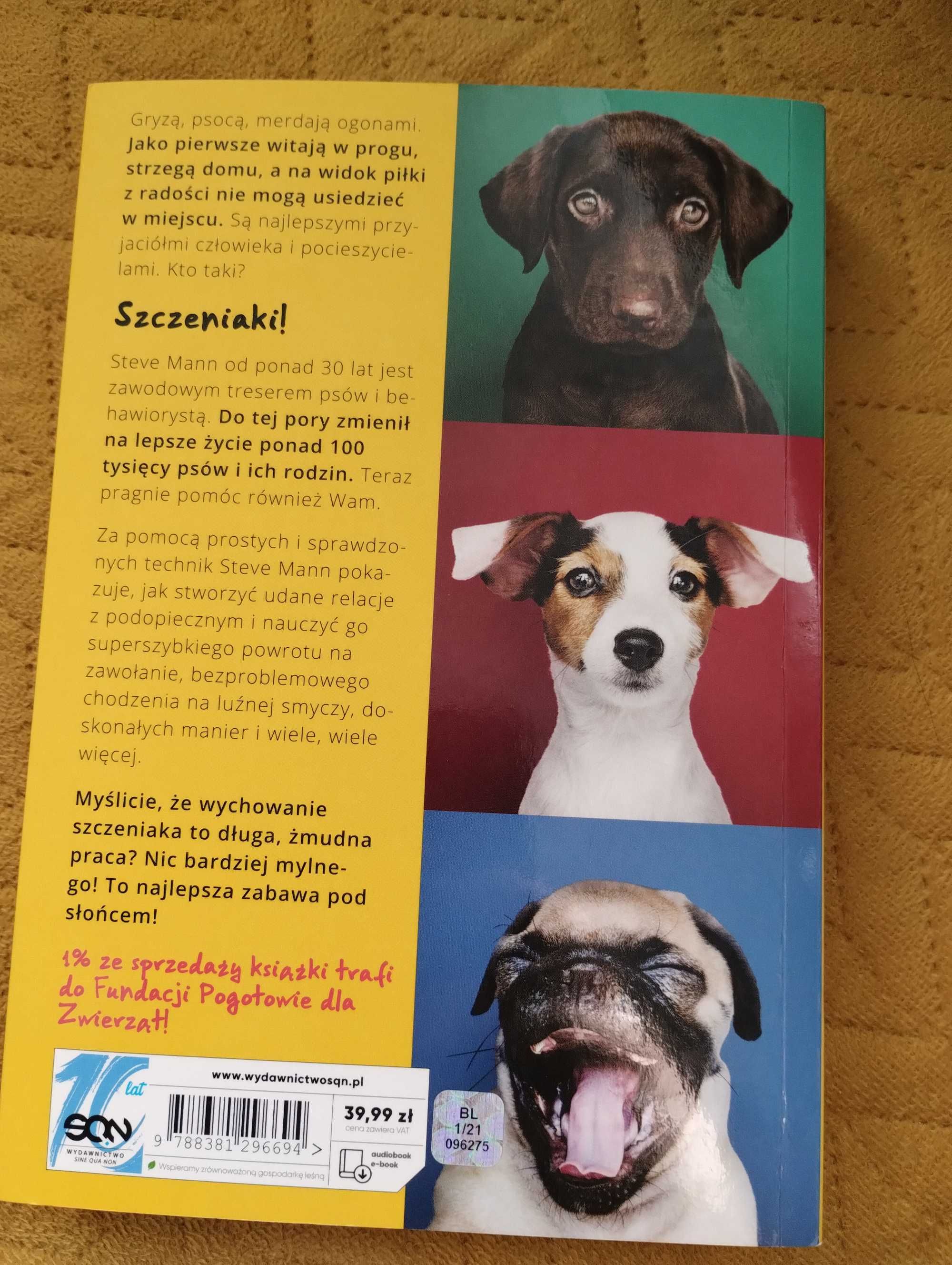 Jak rozmawiać z psem, Dobry piesek, Posłuszeństwo na co dzień