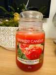 Duża świeca YANKEE CANDLE sundrenched apricot rose
