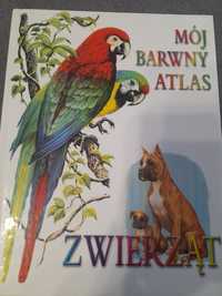 Mój barwny atlas zwierząt