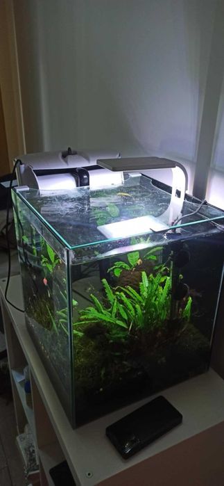 Akwarium z rybkami z życiem Aquael Shrimp Set Smart Day&Night krewetki