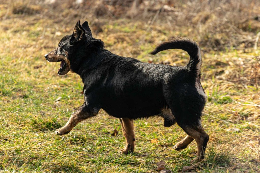 Mały Filipek poleca się do adopcji!