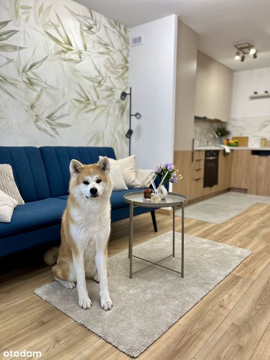 ❤️ 2 sypialnie + gabinet  + salon | zielony LSM | piękny widok ❤️