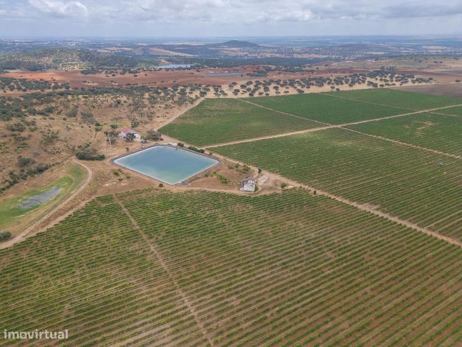 Herdade 96.5 ha, Ciladas, Vila Viçosa