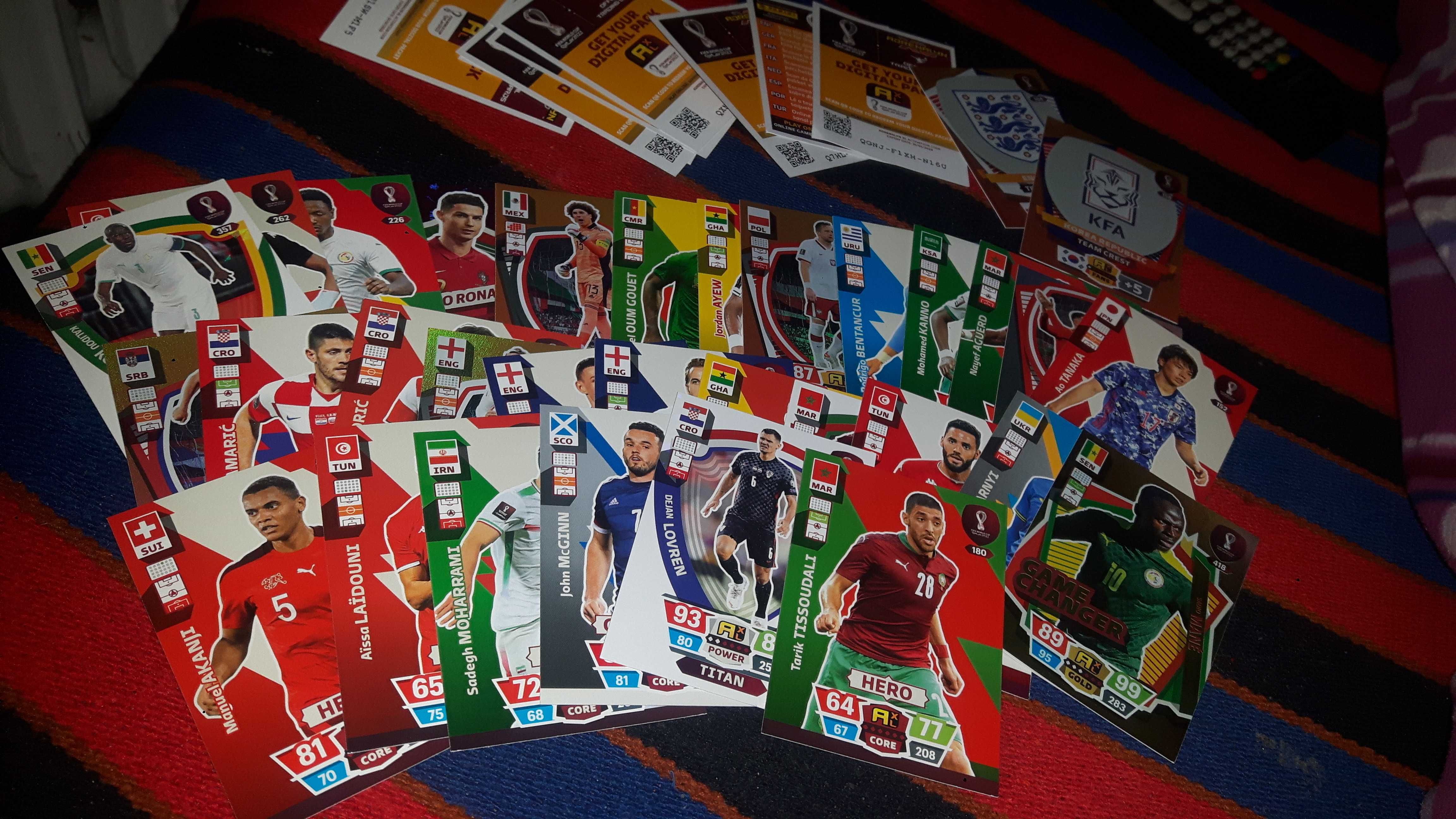 karty fifa world cup qatar 2022