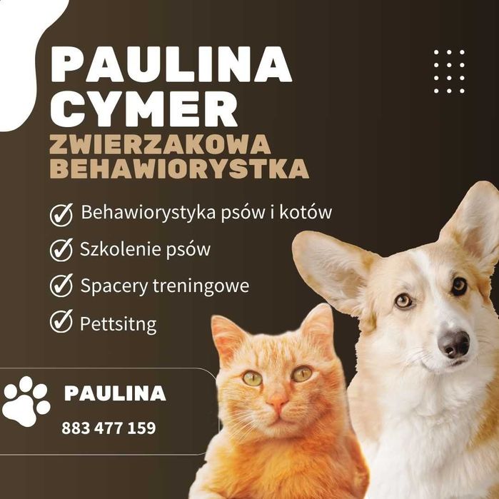 Behawiorysta,Warszawa | Konsultacje behawioralne|Szkolenie psów