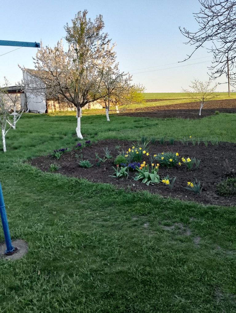 Продается дом село Недайвода