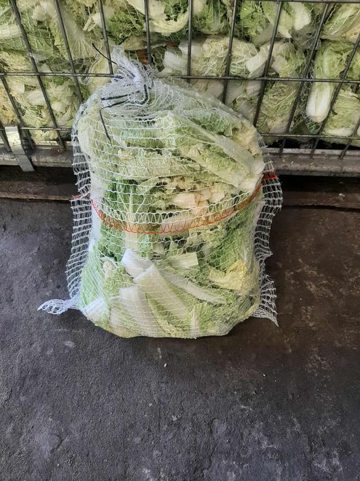 Jedzenie dla zwierzat kapusta liście gryzonie króliki kury