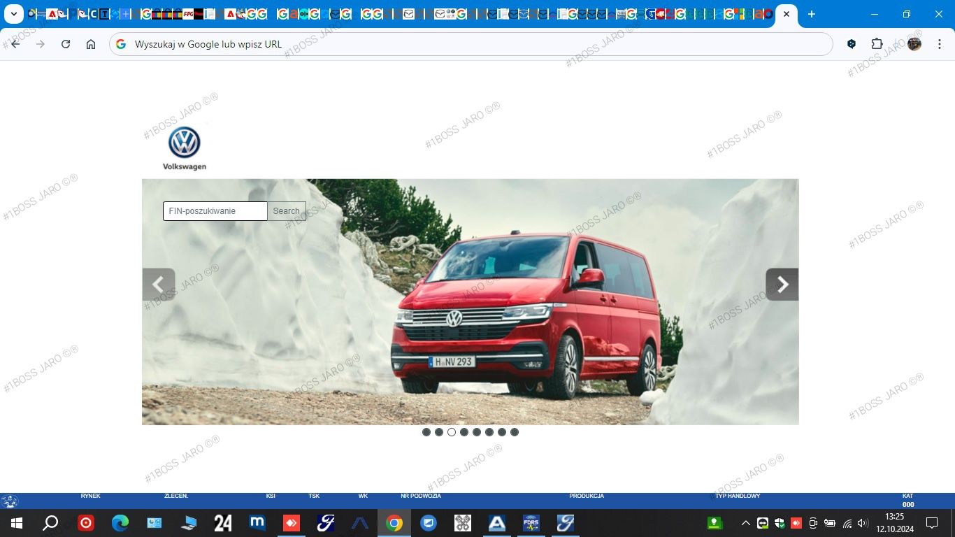 ONLINE Etka erWin Elsa VAG dostęp 365 dni