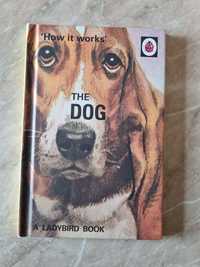 The Dog książka w języku angielskim o psach