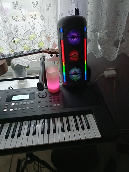 Nauka gry na instrumentach i prowadzenie imprez