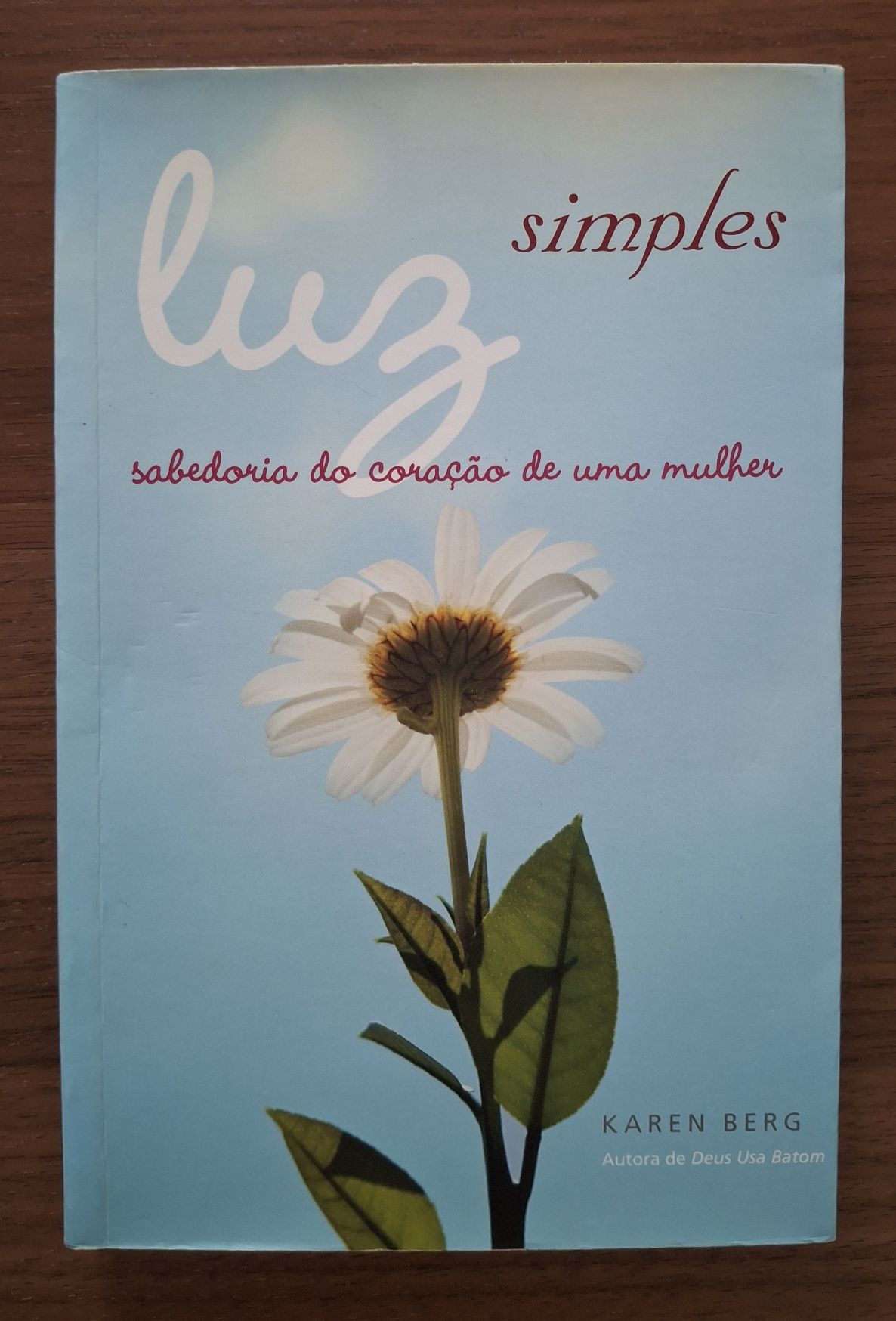 Luz Simples - Karen Berg