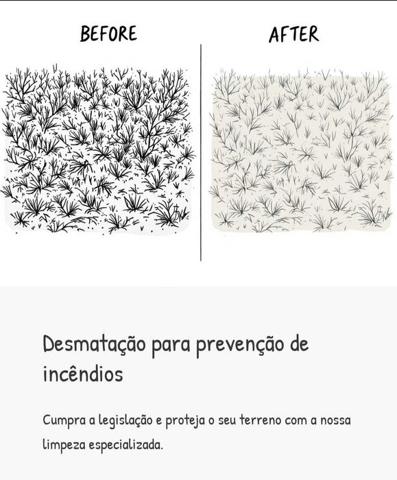 Brutos do monte limpeza de terrenos