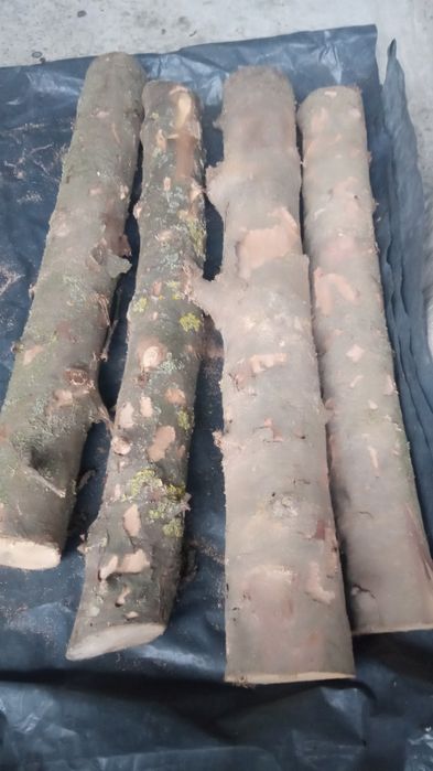 Заготовки з дикої груші, висушені, круглі/ вироби з дерева