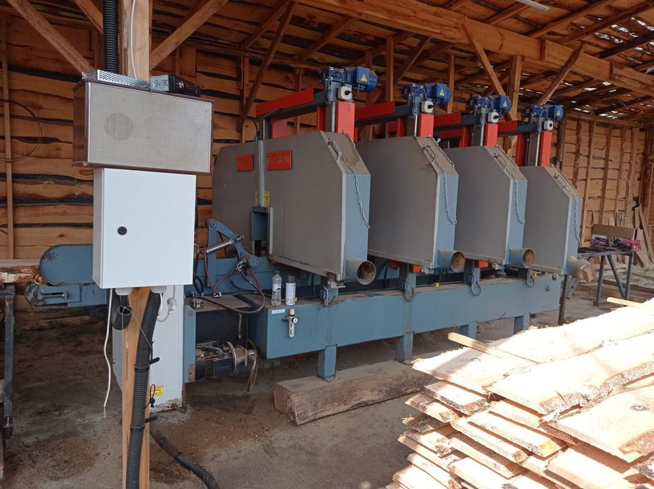 Стрічковий багатопил Туреччина