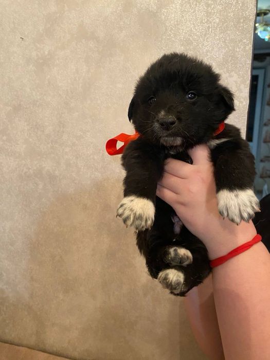 Хлопчики в добрі ручки