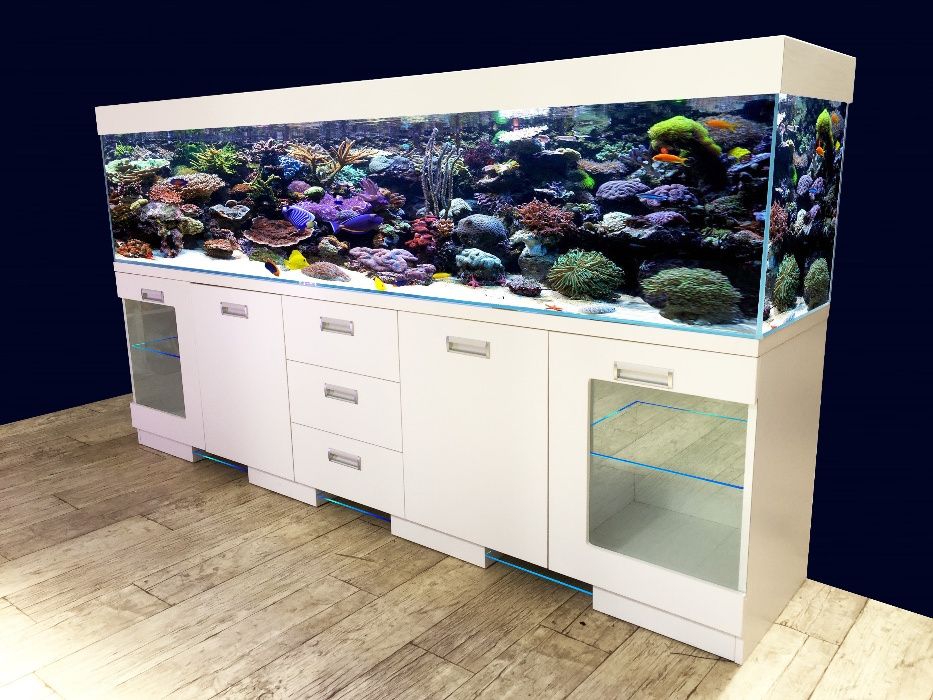 Akwarium morskie Nova Super Reef 250/50/50 cm - 625 litrów, full opti