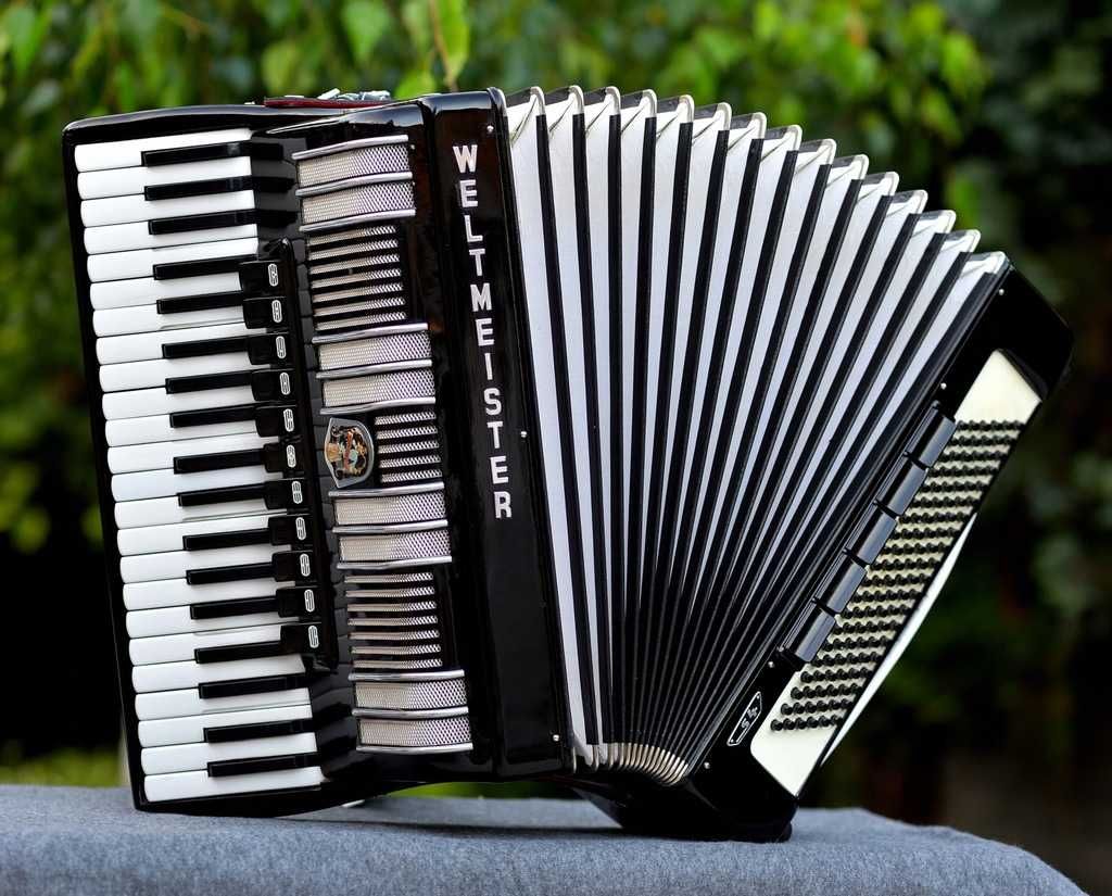 Nauka gry profesjonalnie Akordeon Fortepian Keyboard