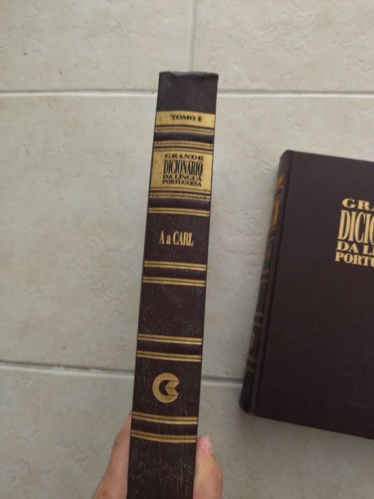 Grande dicionário de língua portuguesa