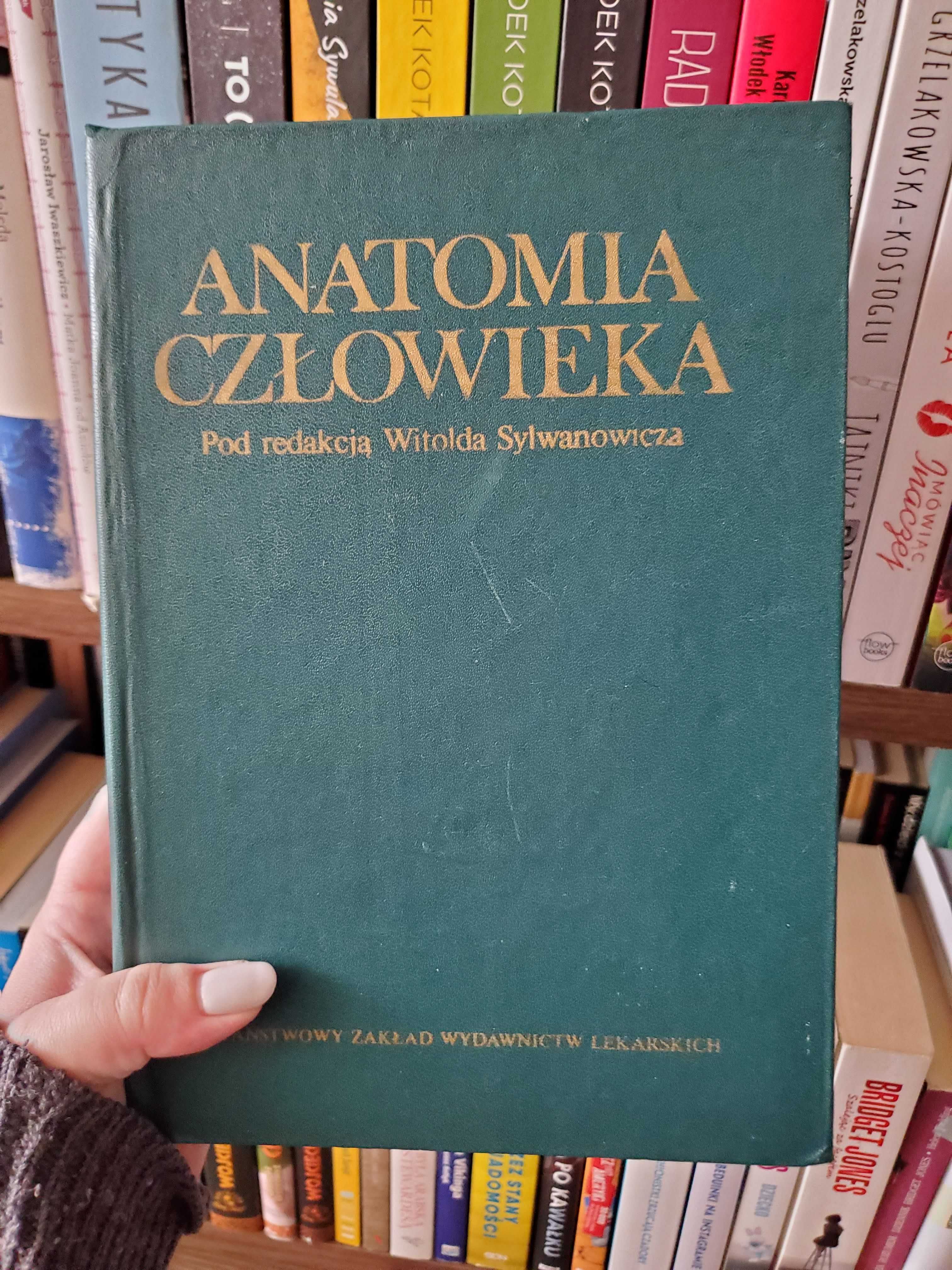 Anatomia Człowieka pod redakcją Witolda Sylwanowicza