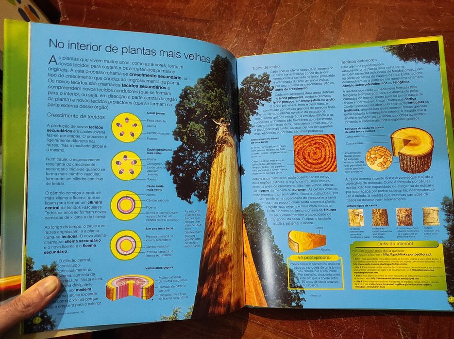 O mundo das plantas - enciclopédia da ciência