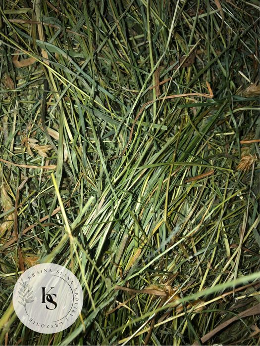 6kg/Sianko 2025 łąkowe z tymotką dla królików- Kraina Siana