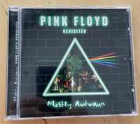 Pink Floyd Revisited