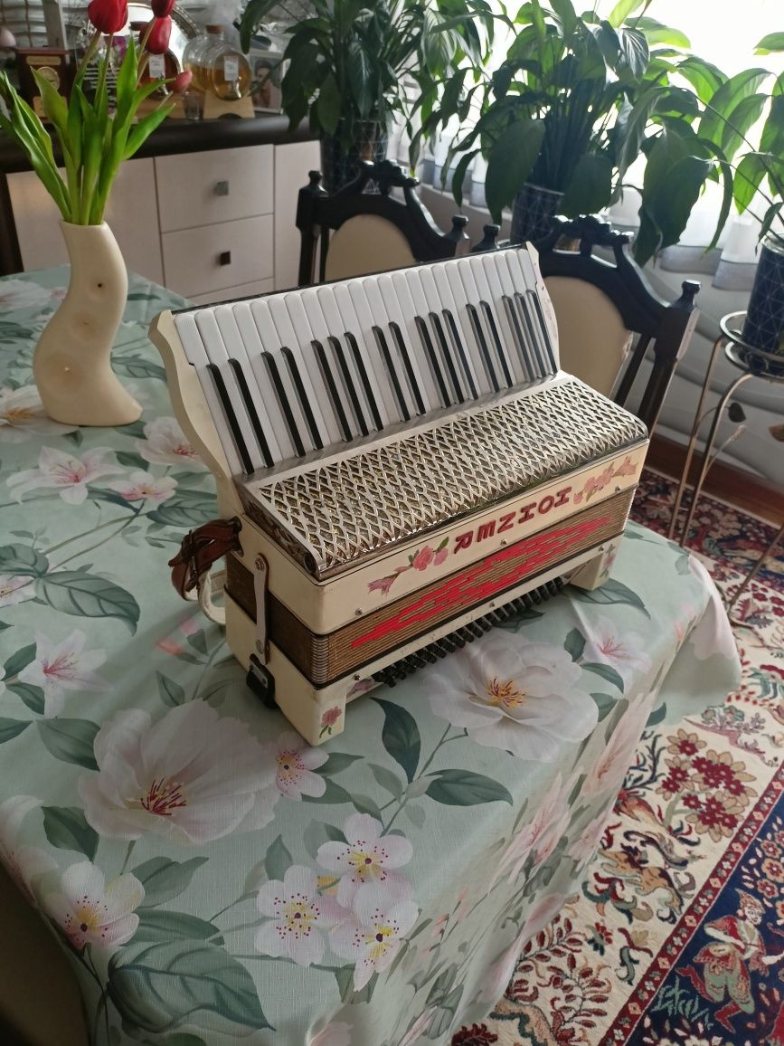 Akordeon hohner Verdi III 120