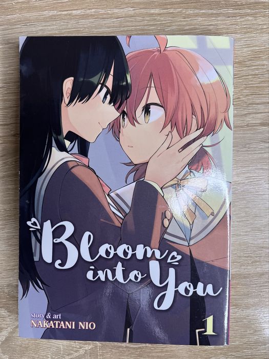 книга англійською (манга)