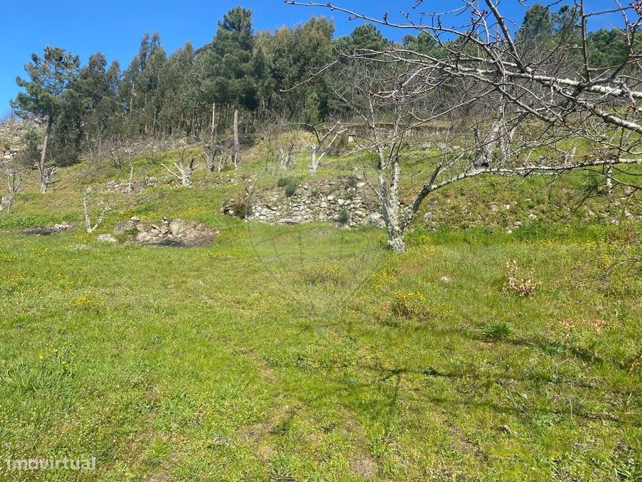 Terreno  para venda