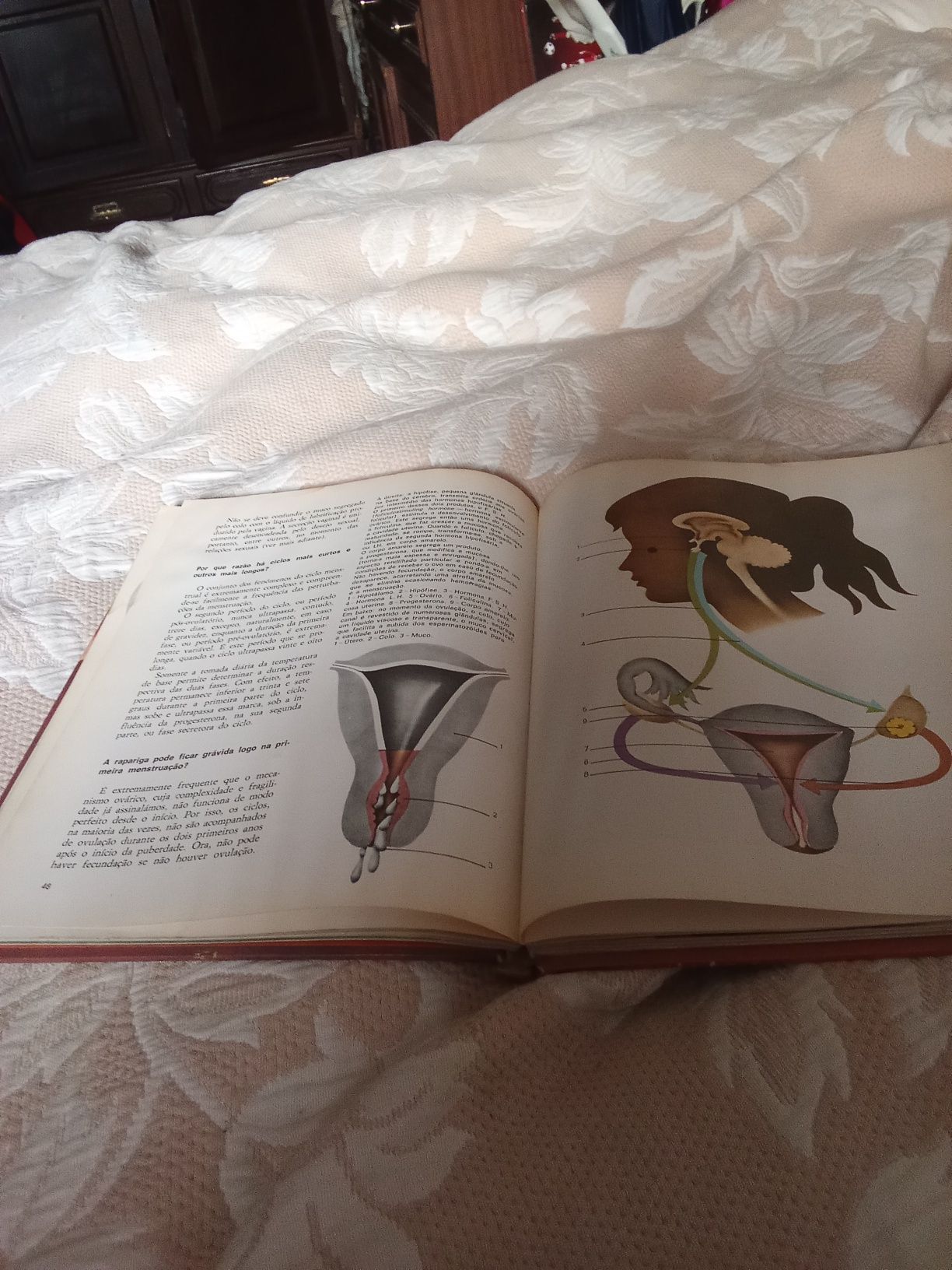 Vendo livro Enciclopedia da vida sexual dos 14 aos 16