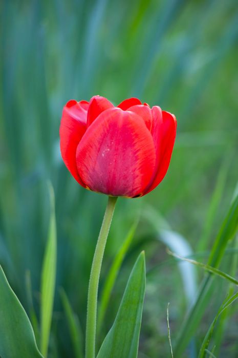 Продам Nikon AF Nikkor 70-210mm 1:4-5.6D MKII