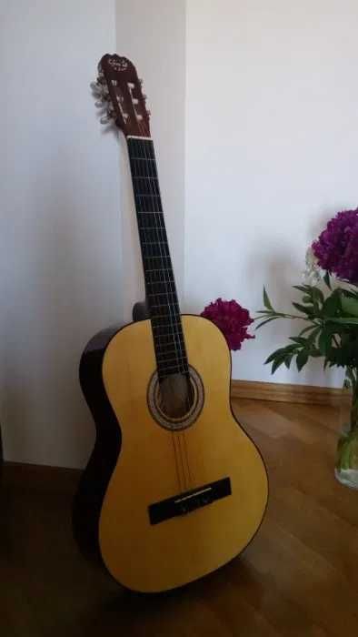 Оренда Тернопіль | Акустична гітара Eurofon GSC-11