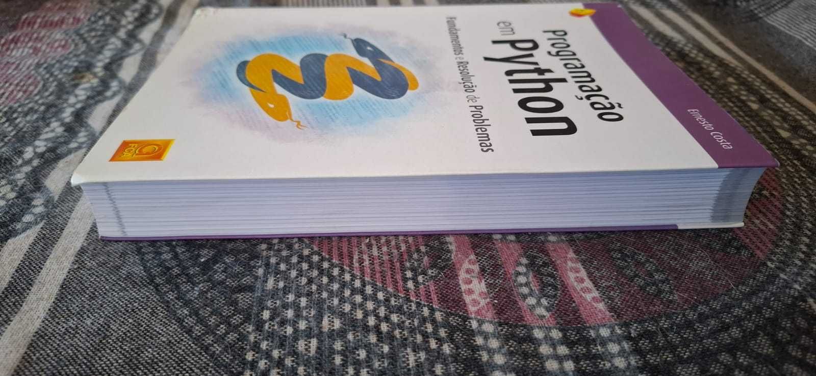 Livro - Programação em Python, Fundamentos e Resolução de Problemas