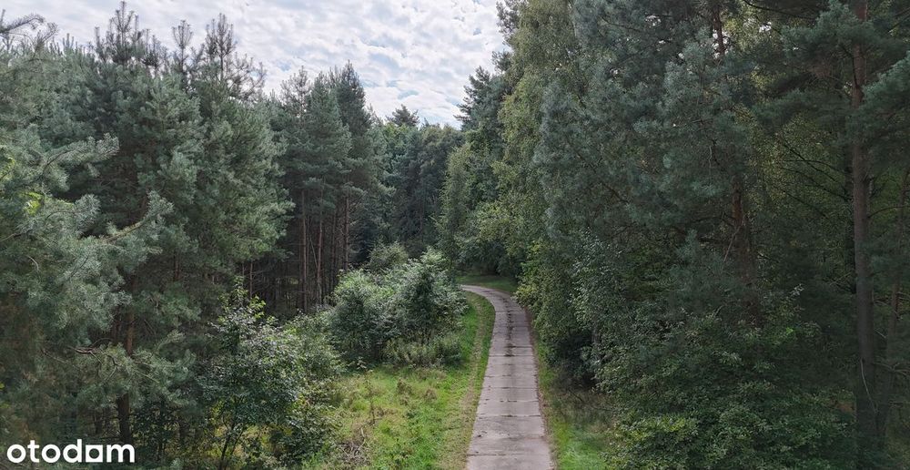 Osada Jagodowa | Działki rekreacyjne w środku lasu | od 500 m2