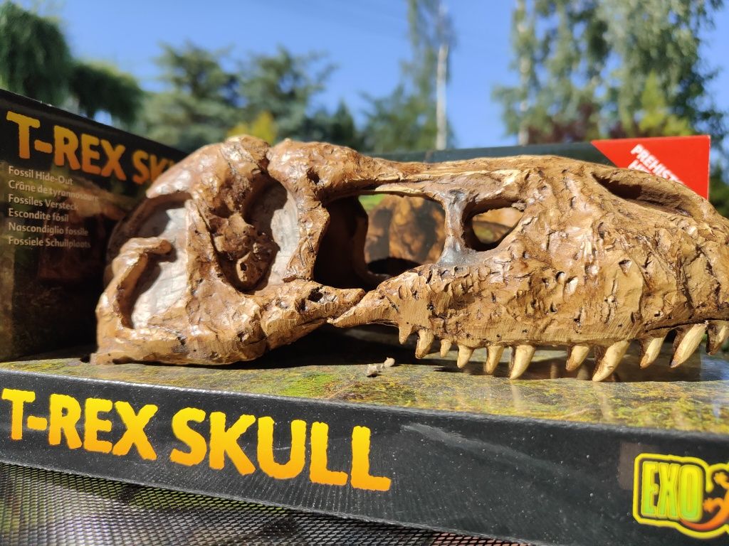 EXO TERRA czaszka t-rex