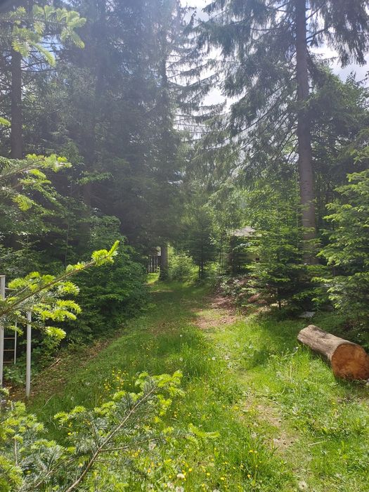 Котедж, будинок в Карпатах Татарів 2-6 осіб