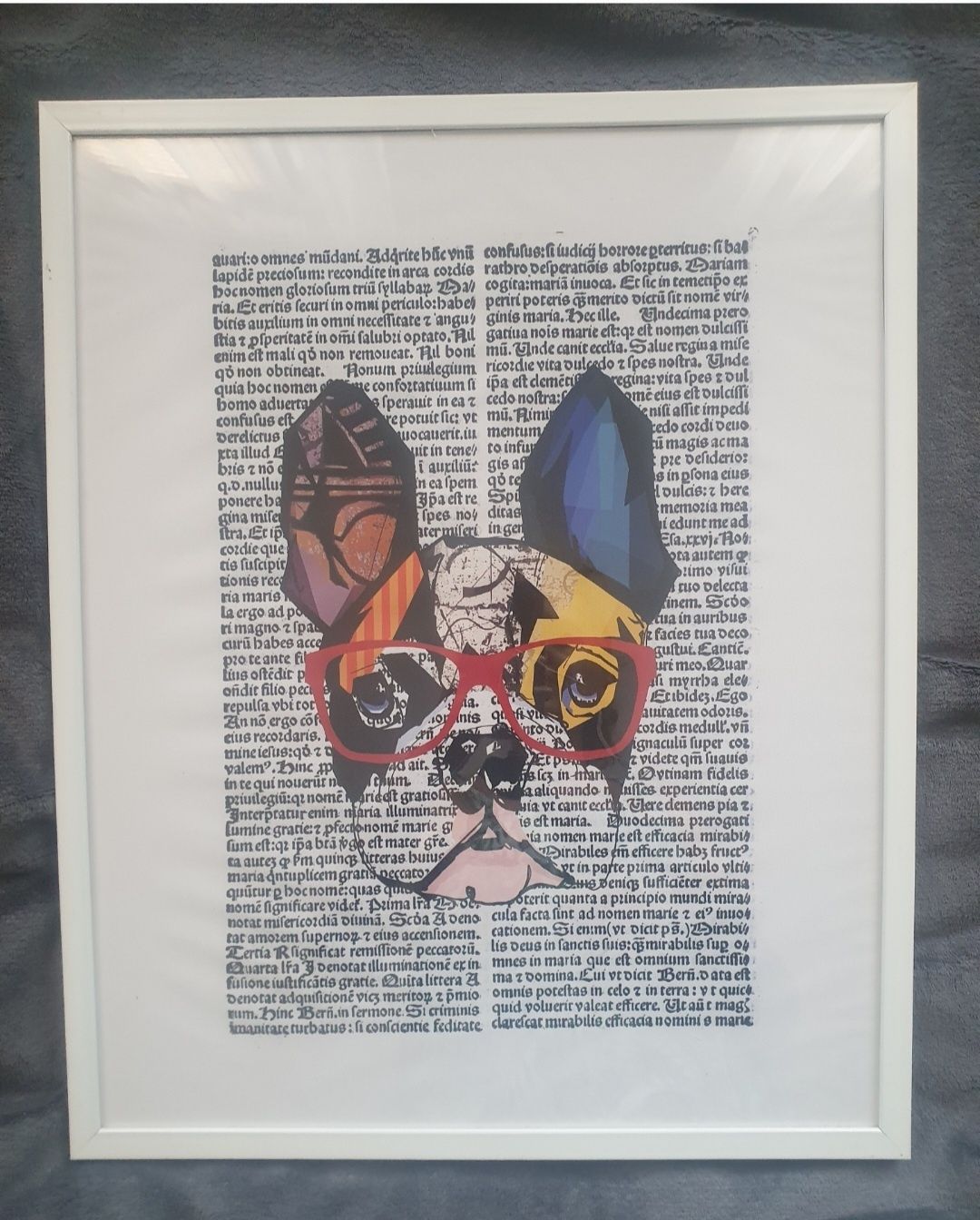 Plakat obraz buldog francuski 40x50