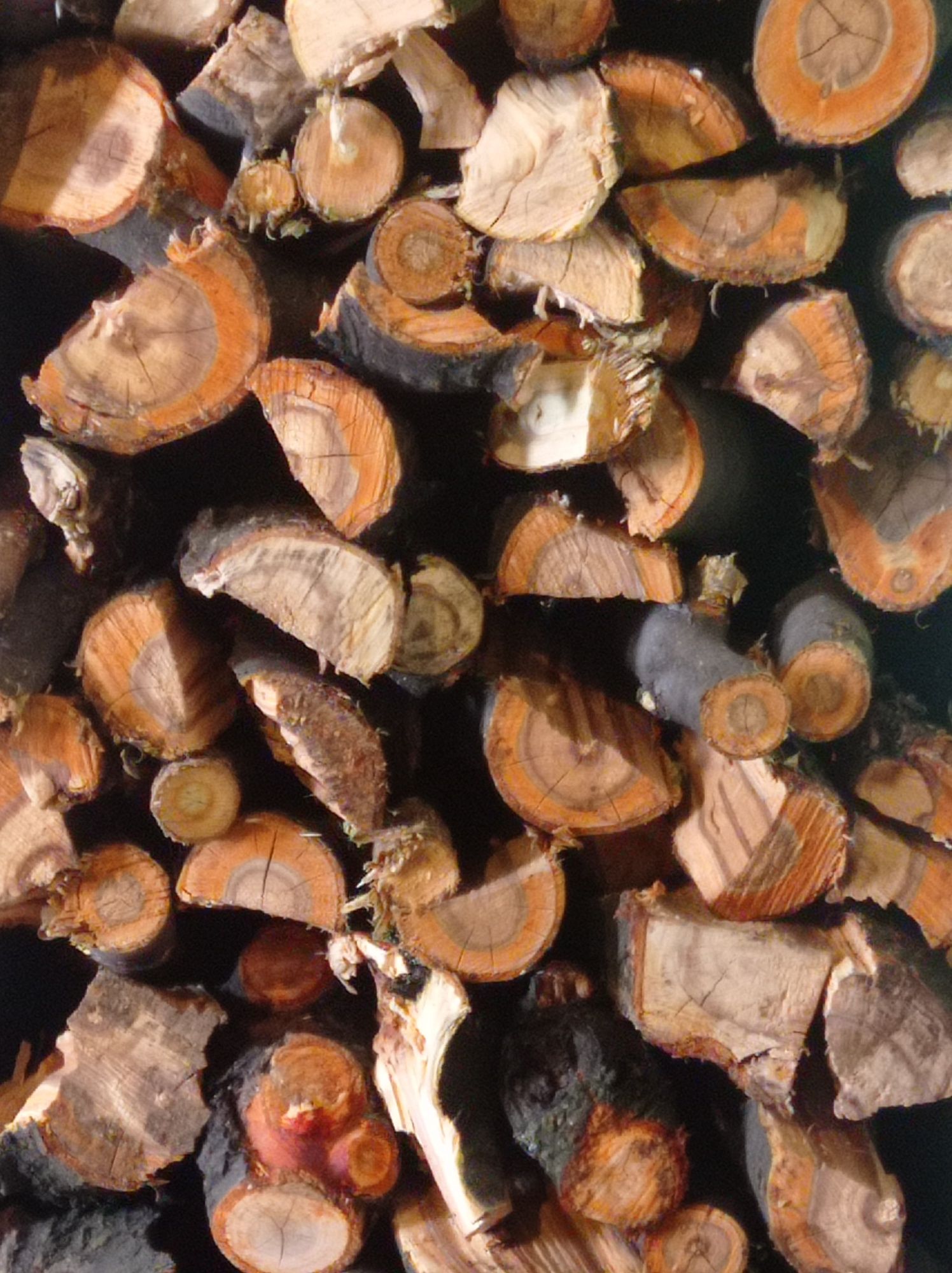 Річний запас дров для шашлику