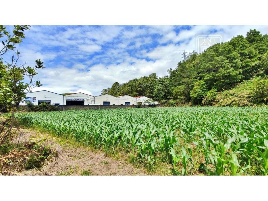 AMPLO TERRENO para projecto industrial junto ao Pico da Pedra, Ribe...