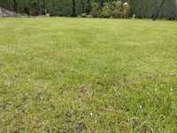Koszenie trawy niwelacja terenu zakładanie trawników usługi ogrodnicze