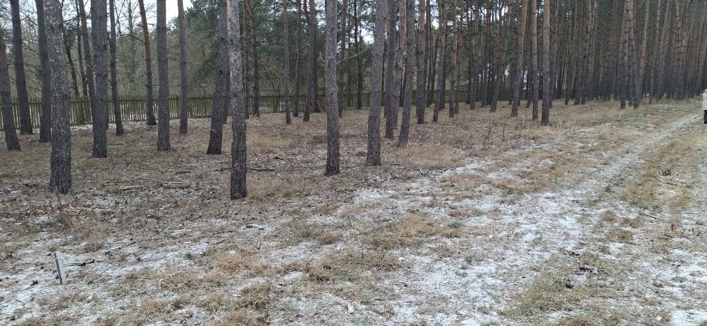 Działka pod zabudowe Kamieńczyk pow. Wyszkowski