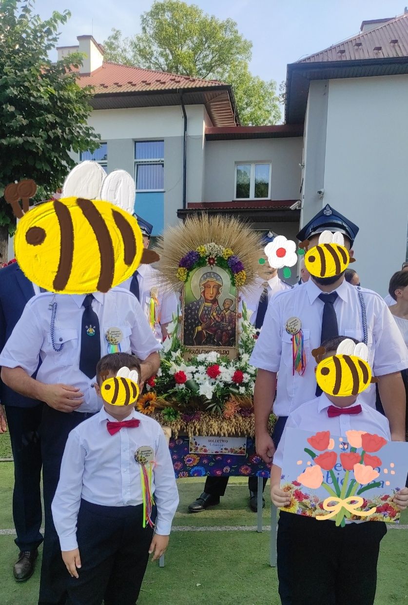 Wieniec dożynkowy