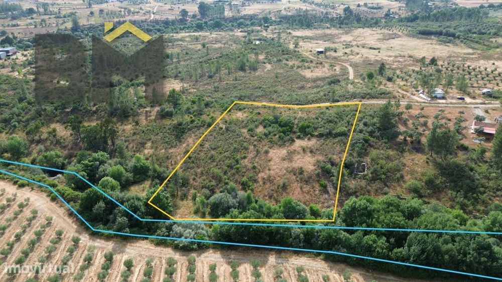 Terreno Rústico  Venda em Freixial e Juncal do Campo,Castelo Branco